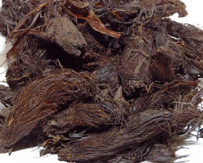 سنبل‌الطیب (علف گربه،سنبل هندی)